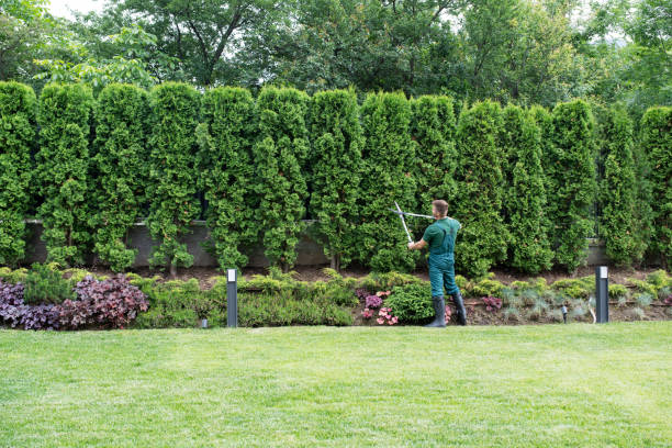 Best Lawn Watering Services  in Gerber, CA